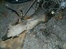 52108117 Jeep Yj Tj Manual Transmission Speed Wrangler Cyl Ax