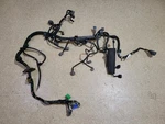 Oem 96-98 Civic Ex Sohc Vtec D16Y8 5-SPEED Manual Engine Wire Harness M/t Uncut. Fixed Price $299.95.