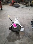 Automatic Transmission Excluding Police Package Fits 03 Crown Victoria 250151. Fixed Price $632.50.
