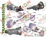Manual Transmission 203 Type C230 Coupe Fits 02 Mercedes C-class 20531. Fixed Price $1259.00.