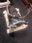 Automatic Transmission 4L60E Opt M30 5.0L Fits Express 1500 Van 745498. Fixed Price $936.00.
