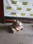 Manual Transmission Case #591953 Fits 1956 Chevrolet Ton Truck 1268305. Fixed Price $200.00.