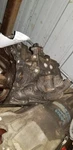 Manual Transmission Coupe Ex Fits 93-95 Civic 698796. Fixed Price $636.54.